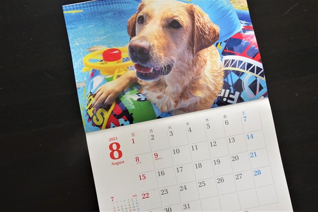 ほじょ犬応援カレンダー 21年版 公益財団法人日本補助犬協会オンラインショップ