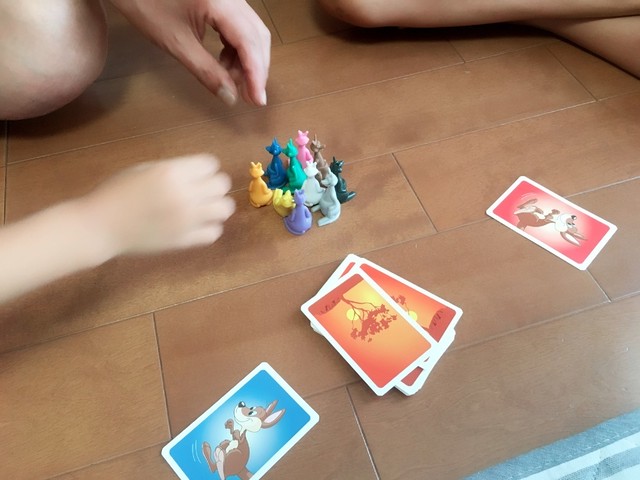 6歳からのカードゲーム Piatnik カンガルー 集中力 洞察力を育みます 木のおもちゃとこどもの本専門店てんさらばさらてんさらばさら