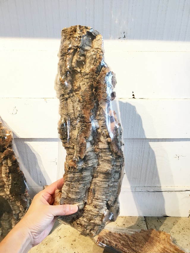 バージンコルク Botanical56