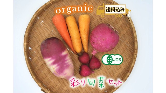 オーガニック 彩り旬菜セット