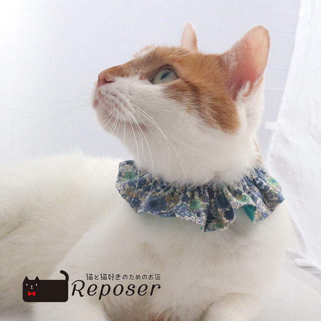 猫 首輪 シュシュタイプ 青い小花 G2 猫と猫好きのためのお店 Reposer ルポゼ