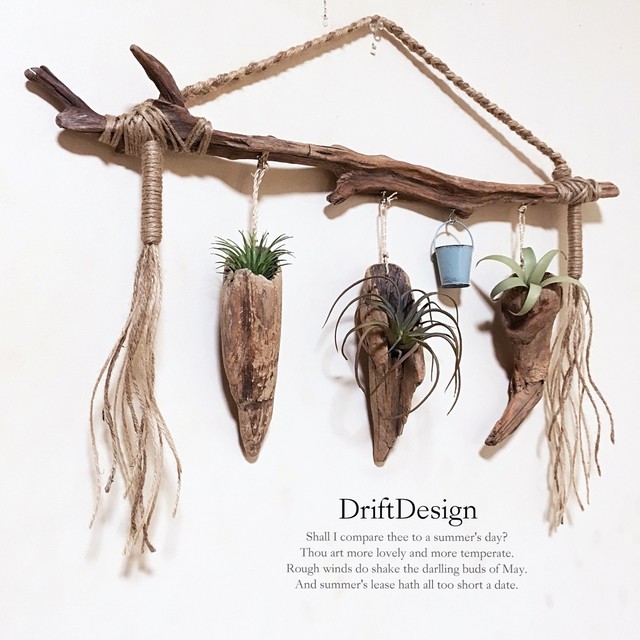 ミニカップ流木のお洒落な多用途ホルダー エアプランツ 多肉植物 サボテン 観葉植物 Driftdesign