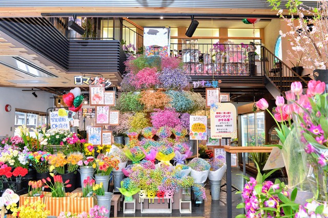 ふわふわブーケ7色入 ロマンチックかすみ草 いわい生花 Base店