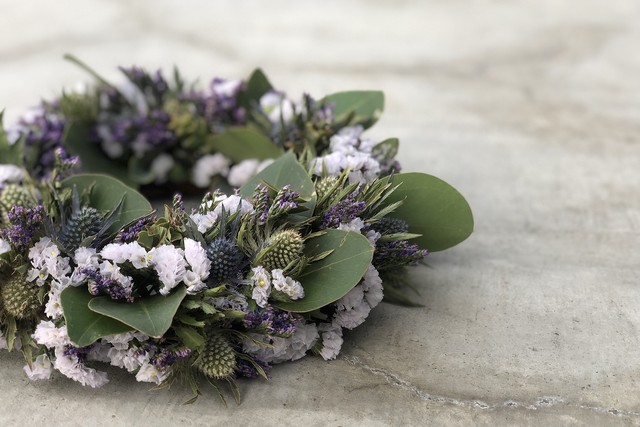 Eryngium wreathe