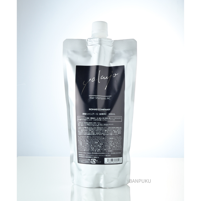 潤髪エイジングケアシャンプー500mlレフィル 新ラベル Banpuku 万福オンラインショップ すてき発見ー