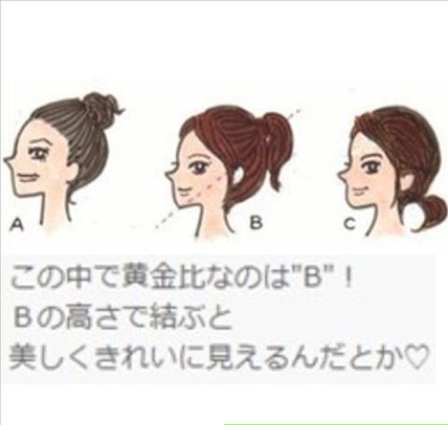 No 64 可愛い レディース ストレート ロング ポニーテール 62cm ブラック Next Dream