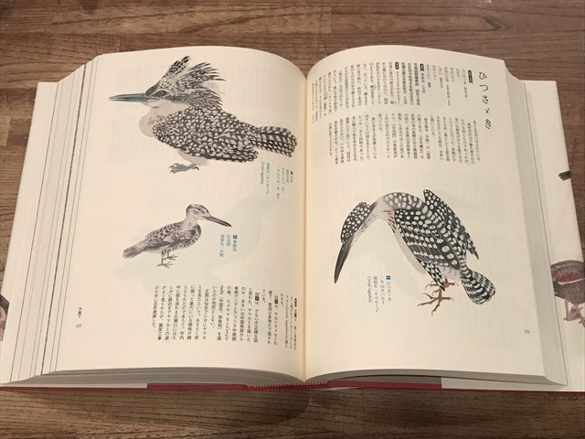 江戸鳥類大図鑑 よみがえる江戸鳥学の精華 観文禽譜 堀田正敦 百年 Old New Select Bookshop 百年