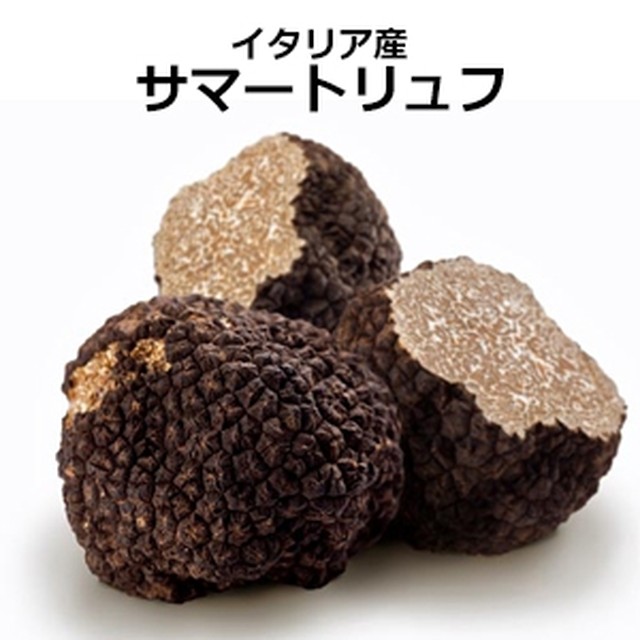 サマートリュフ50gパック Fresh Truffle Japan サマートリュフ50gパック Fresh Truffle Japan