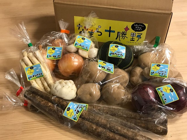 【おうちで秋の収穫祭】新じゃが2種類・秋野菜おまかせセット(送料込)