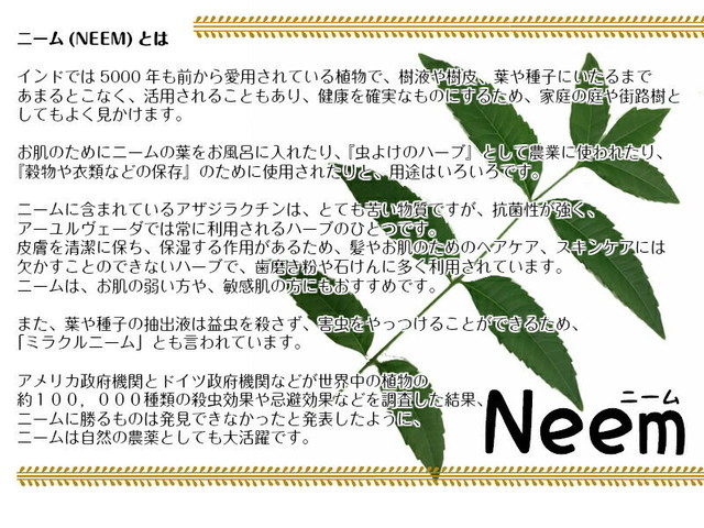 ニーム粉末 ニームパウダー Neem Powder 30g Maguu S