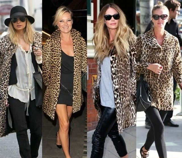 武装解除 押し下げる 素晴らしさ ヒョウ 柄 ジャケット Quaela Jp