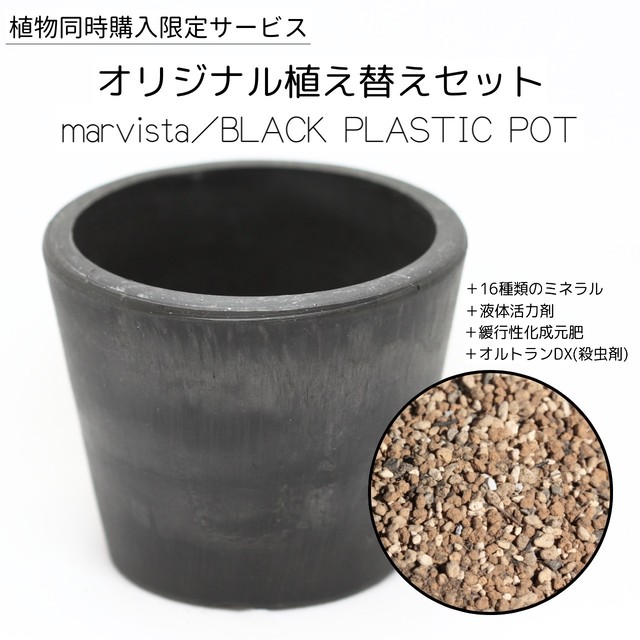 植物 同時購入限定 オリジナル配合high Performance用土 Marvista製黒プラ鉢への植え替えメニュー Libaran Plants オベサ 通信販売専門店