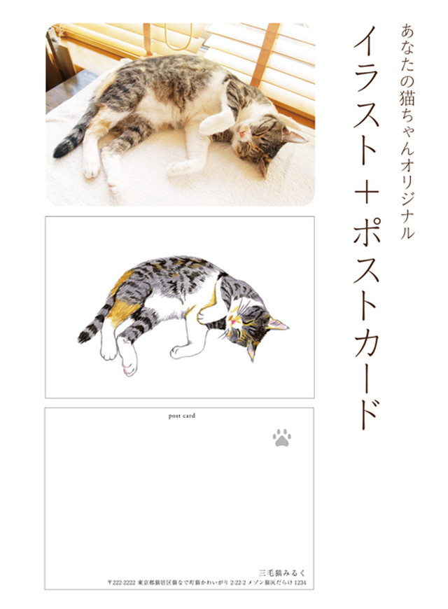 猫 イラスト ポストカード 猫汕雑貨店
