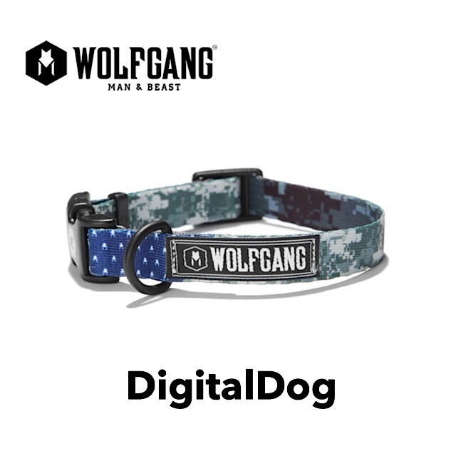 Wolfgang Digitaldog Sサイズ 首輪 ウルフギャング デジタルドッグ Outtail Dog Outdoor Gear