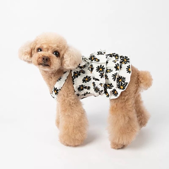 全2色 モノトーン お花柄 ワンピース フリル リボン 犬服 ドッグウェア ペット服 わんこ Bandp Dog Wear わんこのお洋服 犬服 ペット服