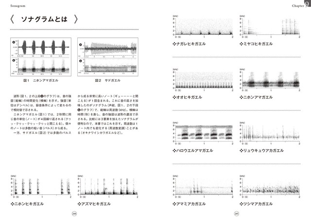 カエルの図鑑 日本のカエル 分類と生活史 全種の生態 卵 オタマジャクシ Caeru