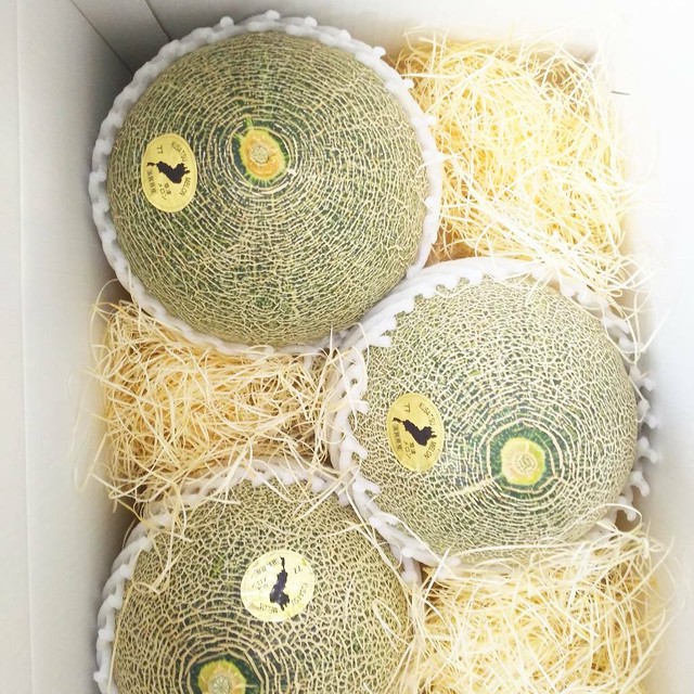 タカミレッドメロン 赤肉 ５lサイズ ３個入り 横江農園