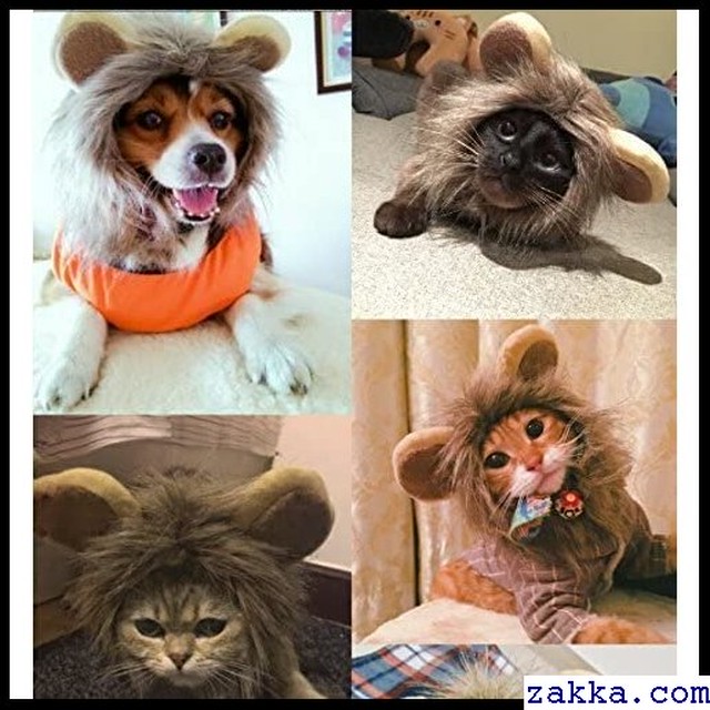Petleso S グッズ かぶりもの 変身 ウィッグ ライオン 猫 猫用帽子 猫被り物 8 Kkk