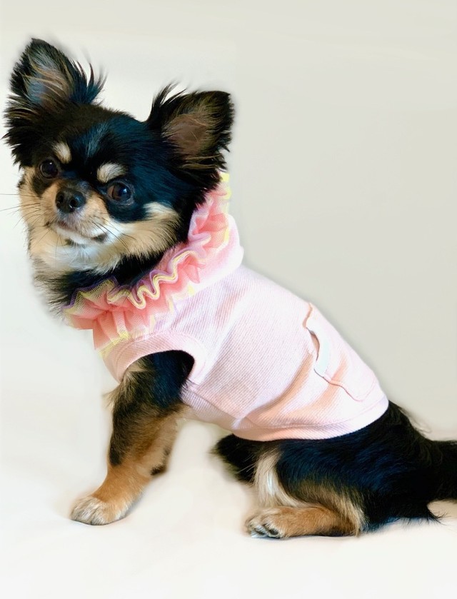 Macaron Frill Hoodie Pink 犬服 人気 犬の服 おしゃれ ドッグウェア 小型犬 犬服ブランド Chicc ドッグウェア ブランド