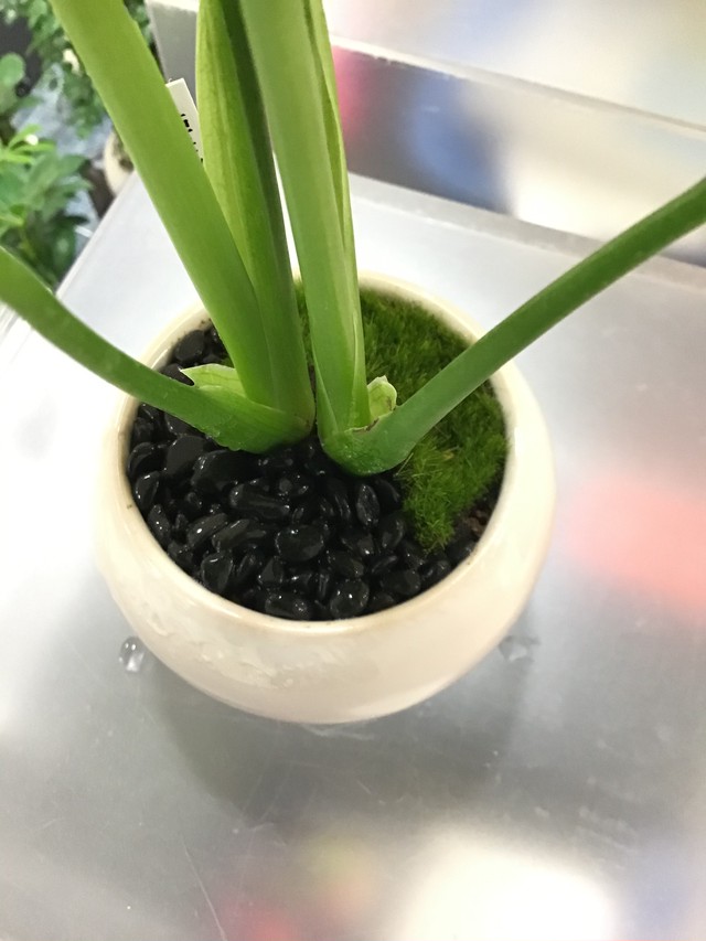 盆栽化粧砂利 黒玉砂利 盆栽 Bonsai屋 粋 Iki