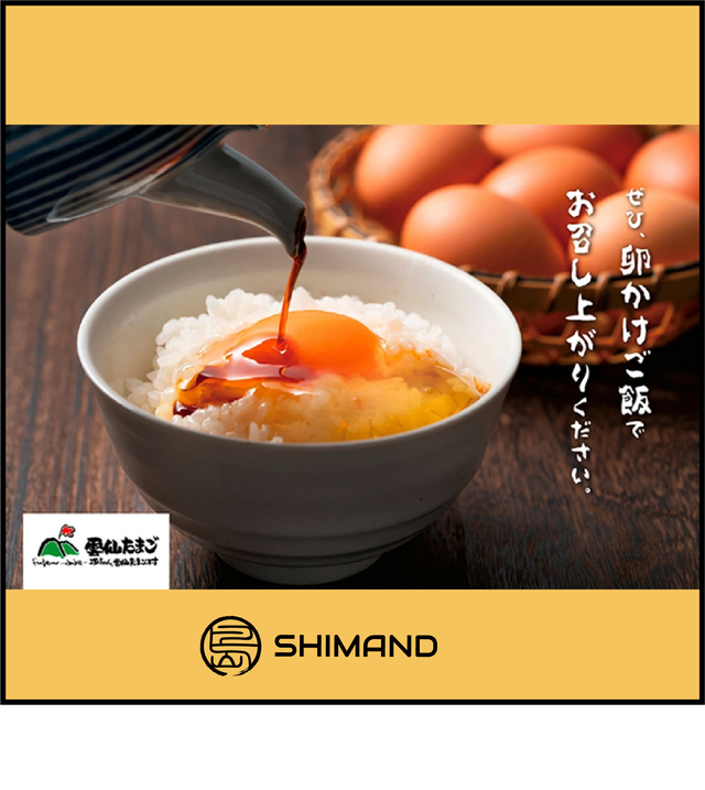 雲仙採りたてたまご 40個入り