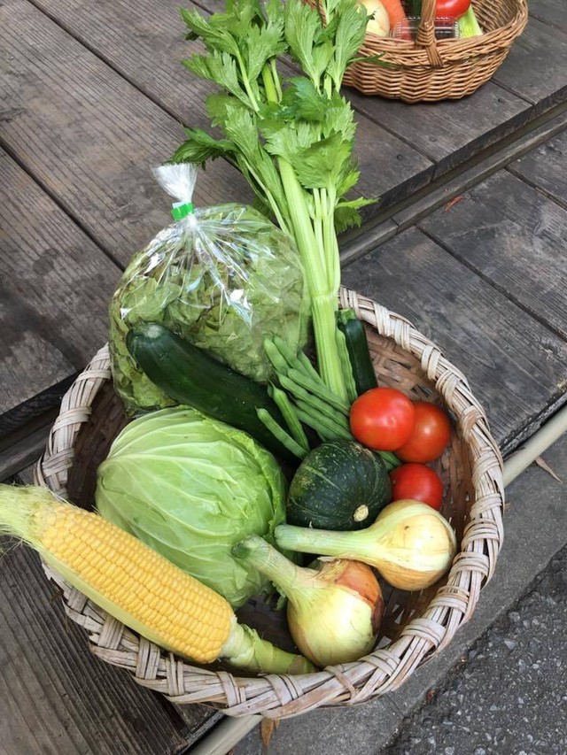 沖縄県産 無農薬野菜 エコショップ がじゅまるガーデン 沖縄 那覇