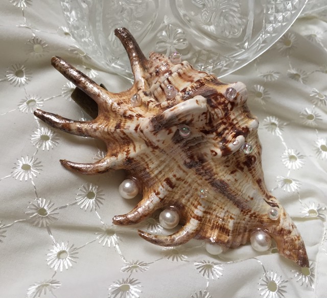 人魚の髪飾り Lucien オープニングsale実施中