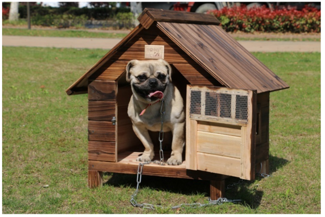 天然木製の犬小屋 サイズ 木で組立てる犬小屋 屋根 取り外しお掃除ラクラク ワンちゃんハウス ドア付き Diyする犬小屋 2台即納可能 ワンちゃん用セレクトショップワンワンダフル