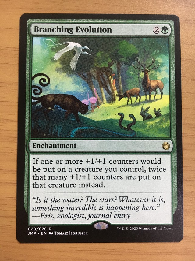 Mtg 霧深い雨林 拡張 Foil シマチャンネル Mtg 霧深い雨林 拡張 Foil シマチャンネル