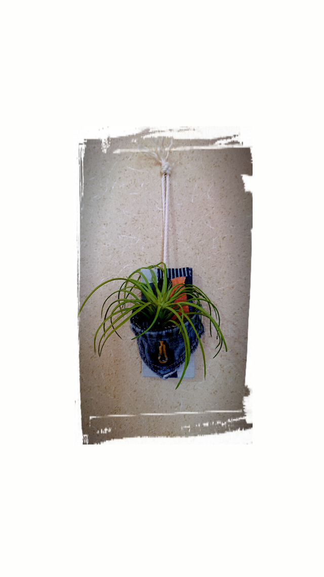 エアプランツホルダー デニムポケット Dunk