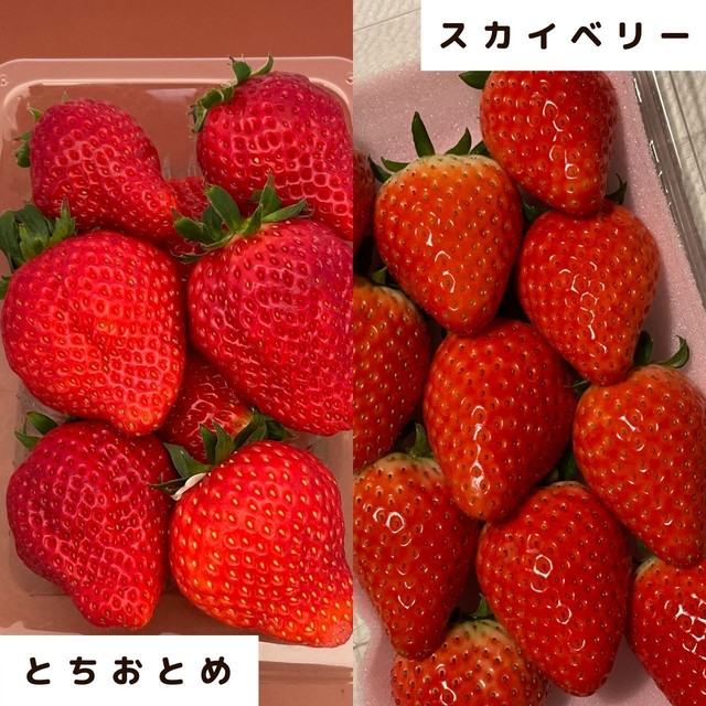 【販売終了】元気あっぷむら / とちおとめ&スカイベリーセット