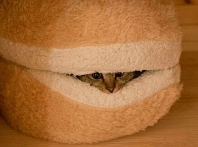 0026 猫好きのあなたへ 猫ちゃんの至福な姿にうっとり 猫 ペット ベッド バーガー 面白い 可愛い 隙間 Dream Ark
