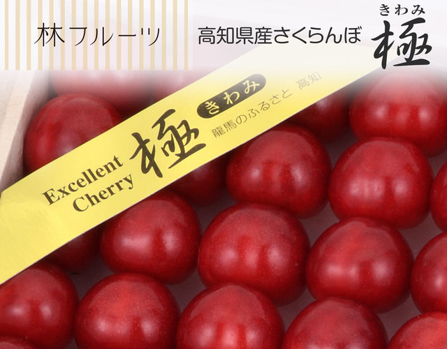 高知県産 極さくらんぼ〔送料無料、さくらんぼ、佐藤錦、紅秀峰、極、きわみ、詰め合わせ、贈答用〕