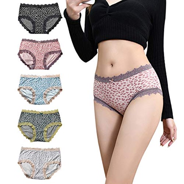 Jpcs レディースレギュラーショーツ レディース ショーツ 5枚セットパンツ下着 パンツ レース 女性 シームレスショーツ ナイロン 柔らか 通気性 レース付き パンティ ショーツ 消臭抗菌 透け感 Az Japan Classic Store
