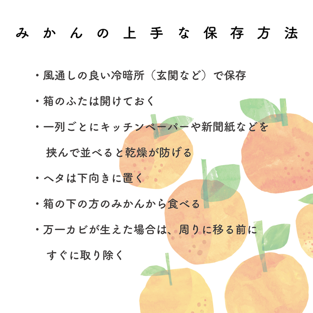 双海の カワイイみかん 3kg モニター価格 極早生 ふたみファーム ふたみおうち便