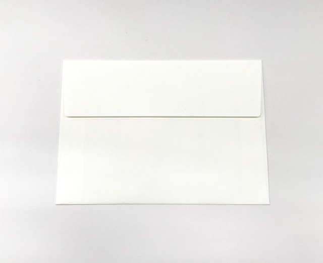 チンアナゴの封筒 Katsuonet