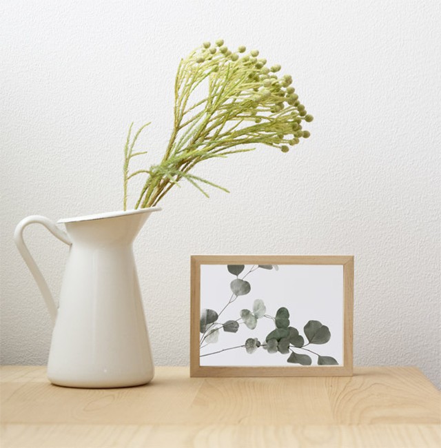 ユーカリ アートポスター 植物 写真 2l カラー 白黒 アートプリント 横向き 自然 観葉植物 Little Kot