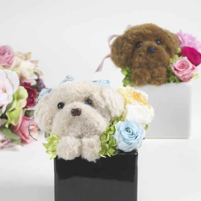 日本全国送料無料 プリザーブトフラワー ダックスフンド クリアボックス入り 犬 カーネーション 人気第6位 Blissbarandlounge Com