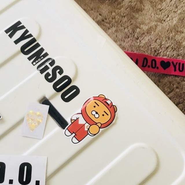 Exo メンバーステッカー Ychi