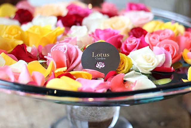 フラワーバス Pink 入浴 フラワーシャワー ポプリ用 ご褒美にどうぞ Lotus Garden
