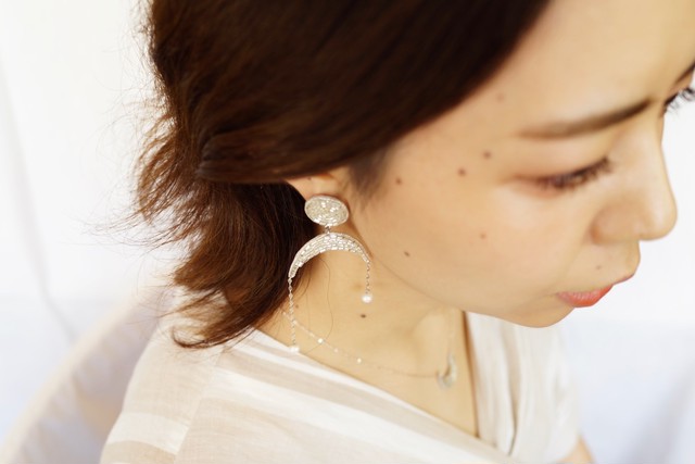 【刺繍ピアス/イヤリング】Moon/silver