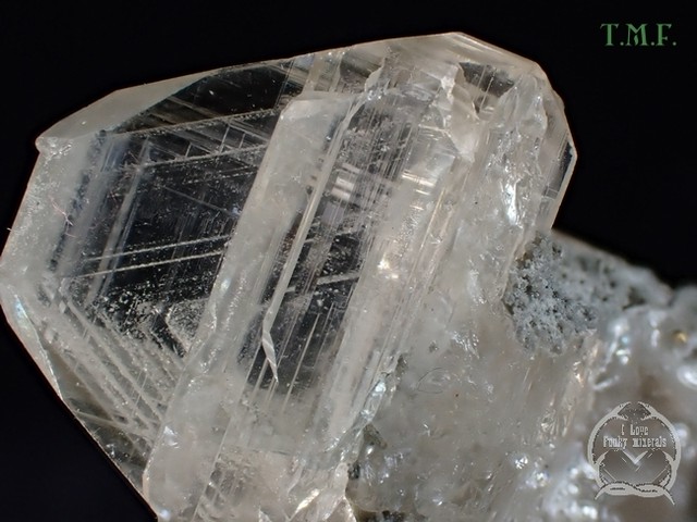 セルサイト 白鉛鉱 ナミビア Tm 398 Ex Prof Dr Wolfgang Hofmeister つぐこみねらるず 鉱物 原石 天然石の販売