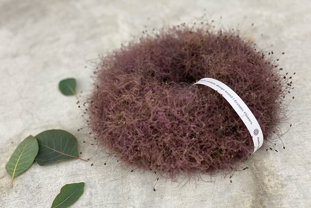 SMOKE TREE WREATH スモークツリーリース02【Small】