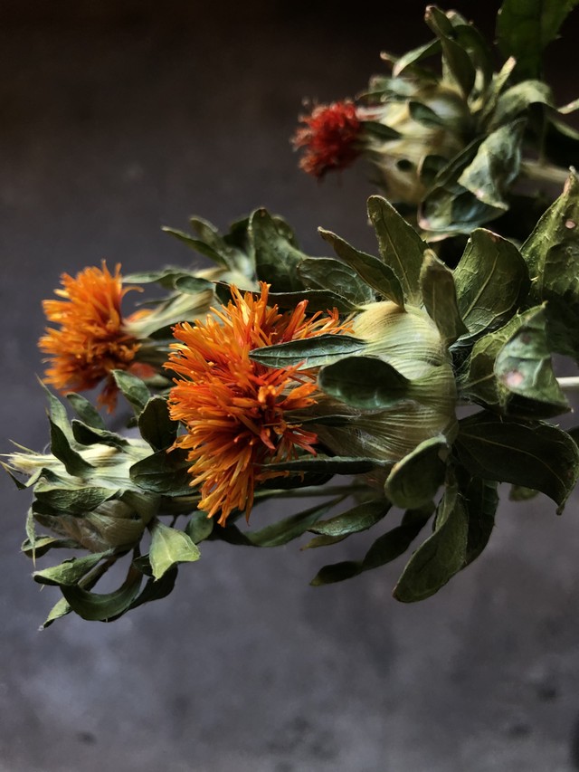 ベニバナ 紅花のドライフラワー 束 Memento Dried Flower Arrangement ドライフラワー通販