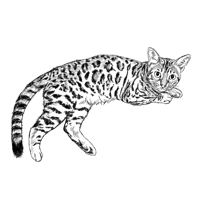 猫の手描きイラスト 似顔絵 白黒 作成 全身 動物 人間可 猫雑貨 グッズ通販 猫や動物イラスト 似顔絵作成 365cat Art