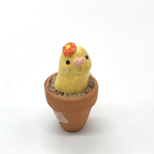【きゃねこ】 鳥のお花屋さん③セキセイインコ