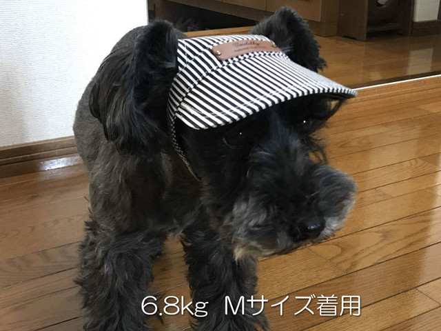 Dog Cap 犬用帽子 ヒッコリーデニム Haff Haff