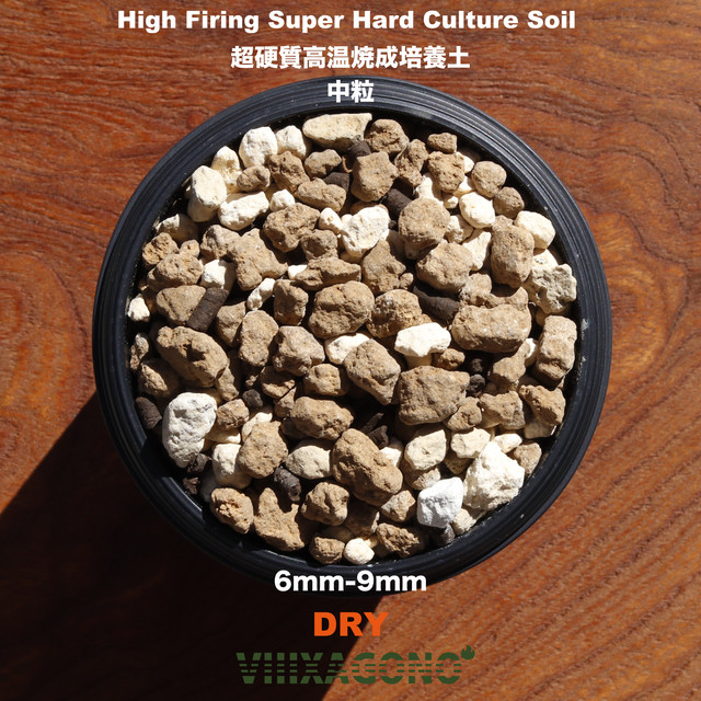 送無 Viiixagono 超硬質焼成培養土 5l 3袋 細粒 極小粒 小粒 サイズ変更可能 サボテン 多肉植物 アガベ パキプス ホリダス ハオルチア Viiixagono