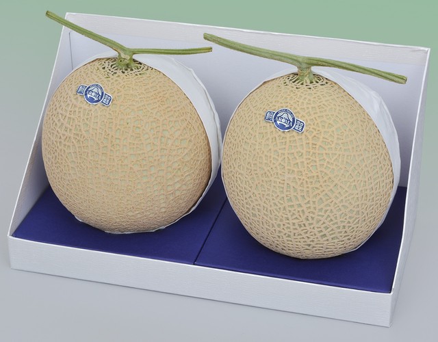 静岡産 アローママスクメロン【2玉計約2.6kg】 〔送料無料 メロン 贈答用〕