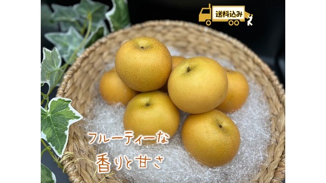 【数量限定】あきづき 10玉